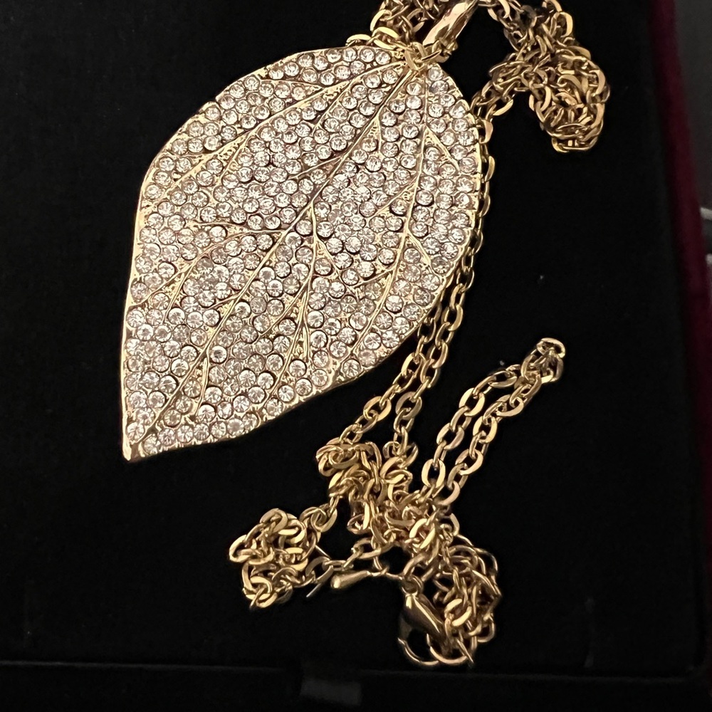 Brand new long necklace